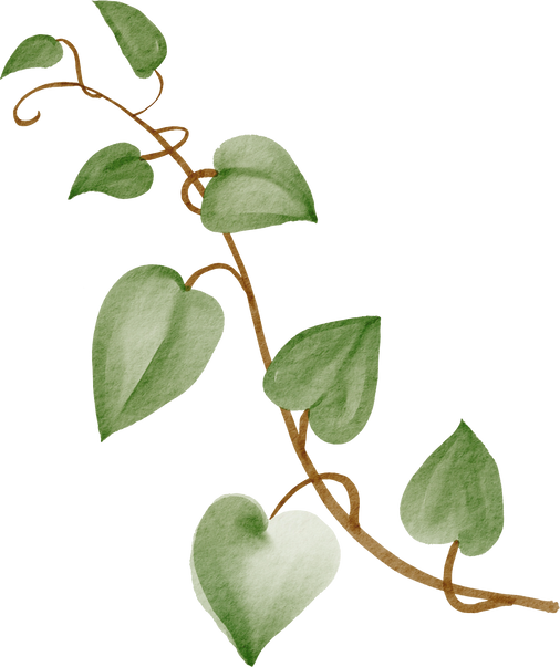 cutout ivy plant watercolor simplicity painting.